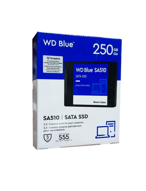 WD INTERNAL SSD 250GB SATA (BLUE) 8523