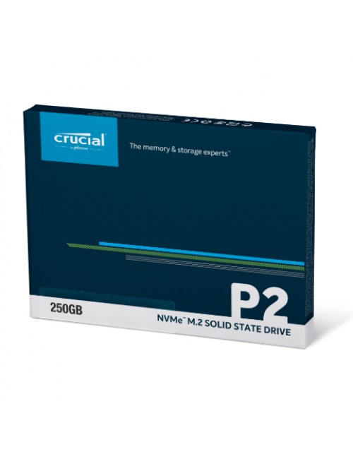 CRUCIAL INTERNAL SSD 250GB NVME (P2)