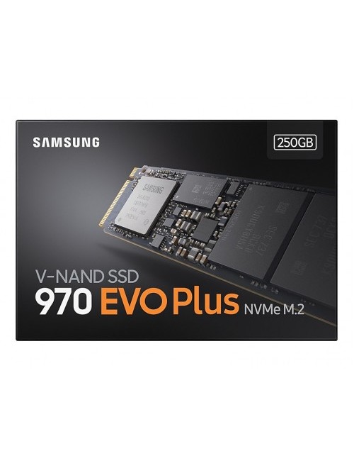 SAMSUNG INTERNAL SSD 250GB NVME (970 EVO PLUS)