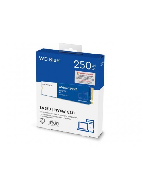 WD INTERNAL SSD 250GB NVME BLUE (SN570)