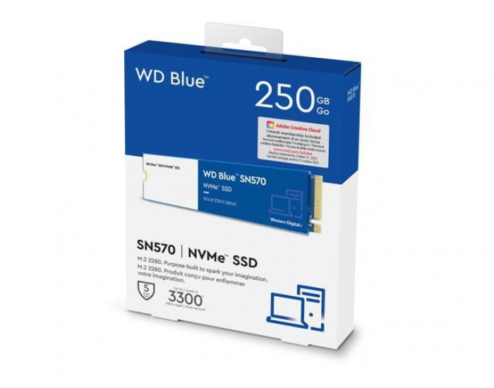 At placere abort Diverse WD SSD 250GB NVME BLUE (SN570)